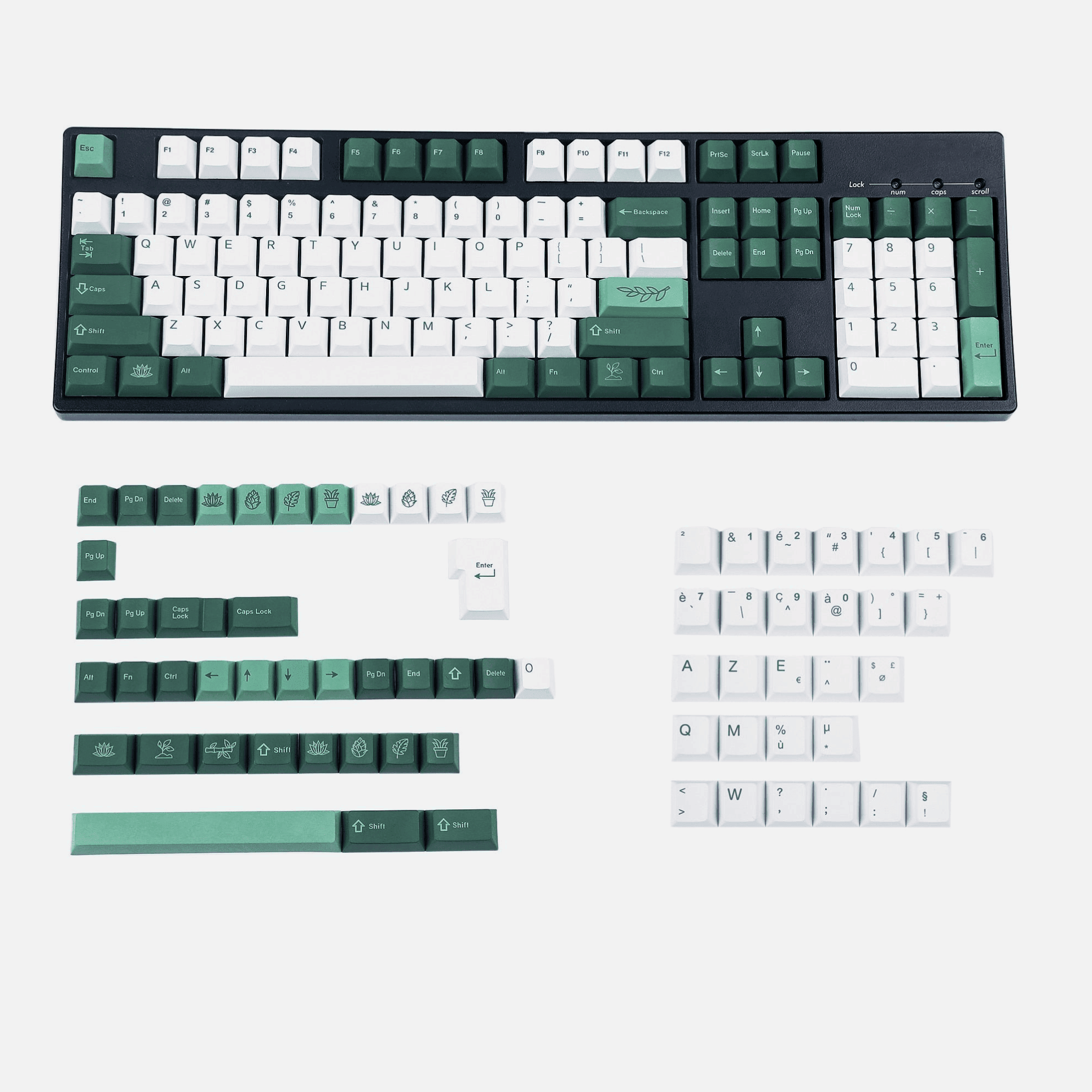 Conjunto completo de cubiertas de teclas ISO FR para el teclado azerty botánico