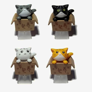Cuatro teclas para teclados Artesanales Chat en caja