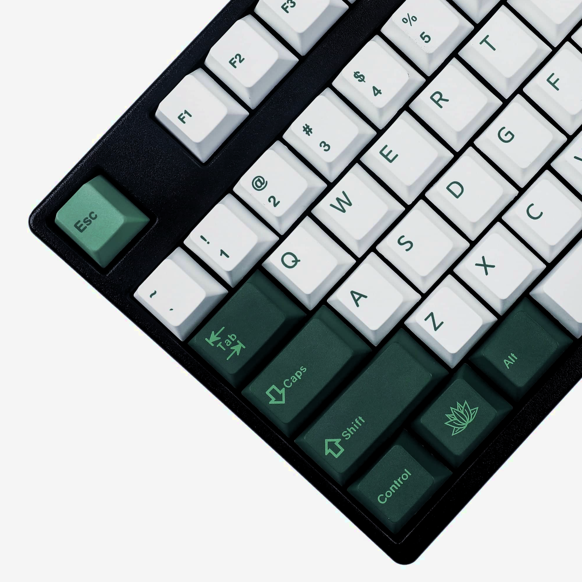 Keycaps azerty botánico