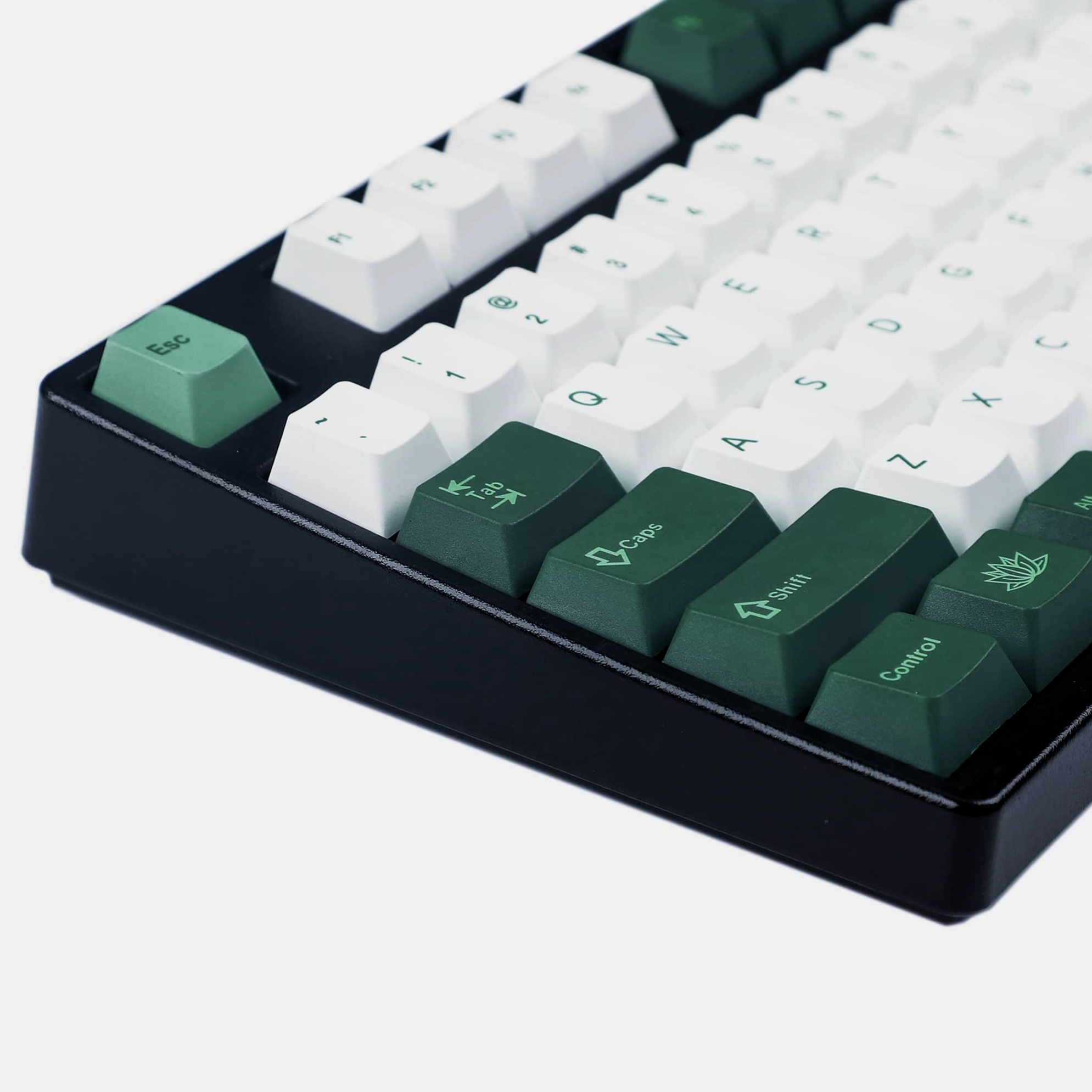 keycaps personalizados iso fr botánico