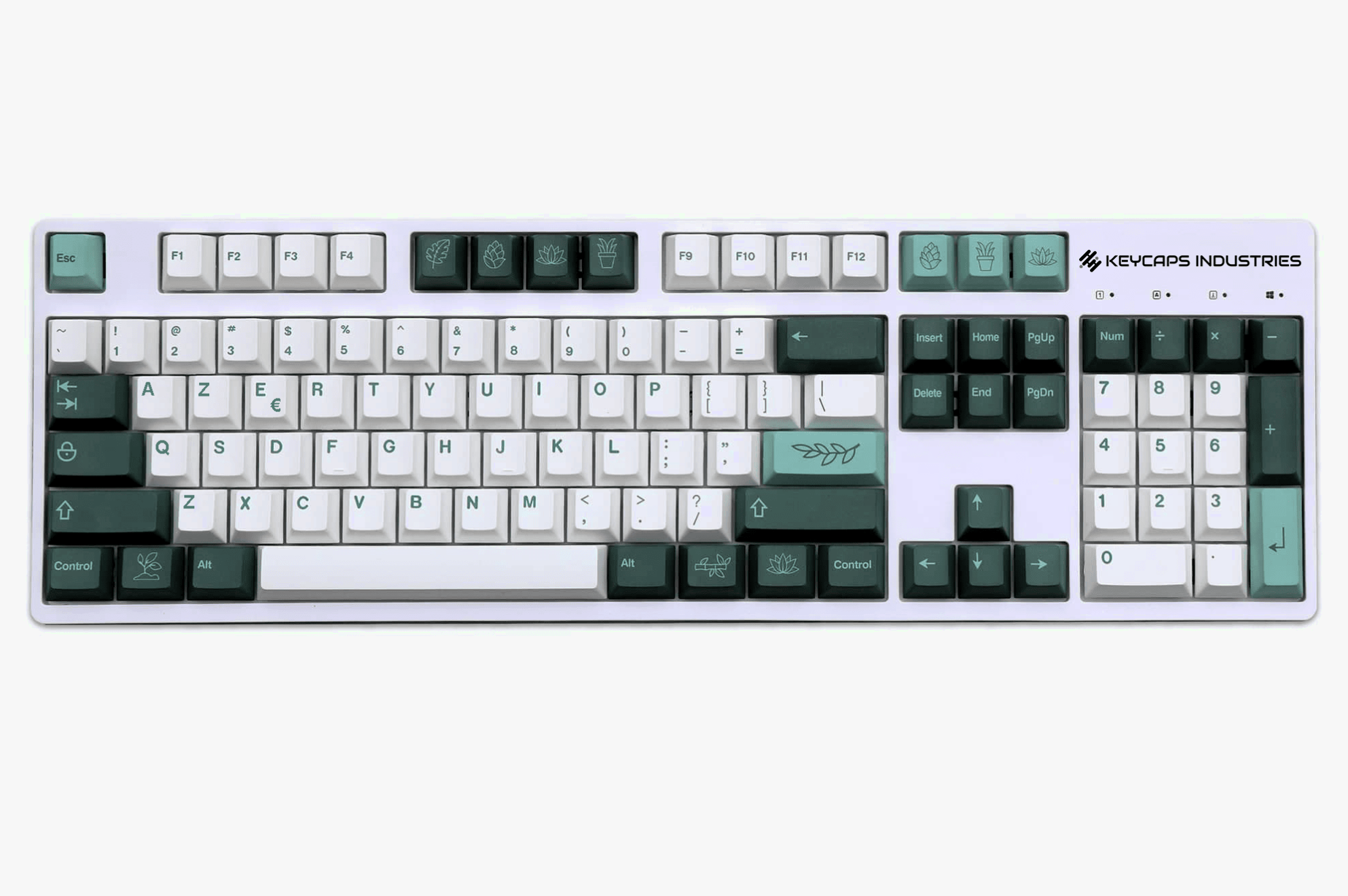 Kit de Keycaps ISO FR Botánico