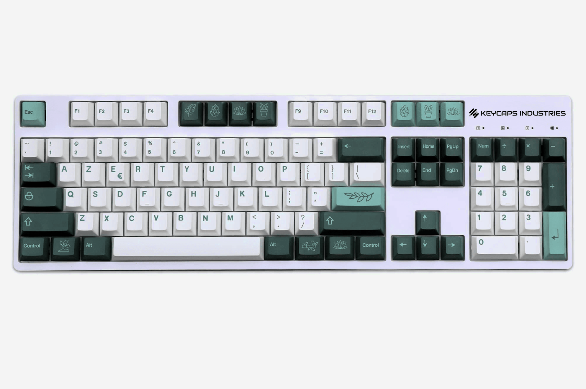 Kit de Keycaps ISO FR Botánico